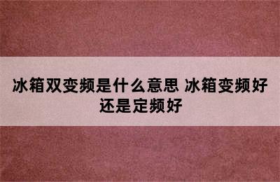 冰箱双变频是什么意思 冰箱变频好还是定频好